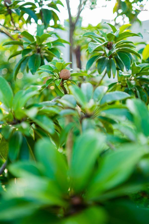 فيلا Eden Garden آليباغ المظهر الخارجي الصورة