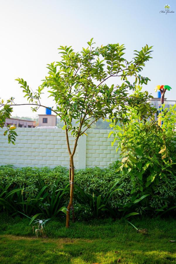 فيلا Eden Garden آليباغ المظهر الخارجي الصورة