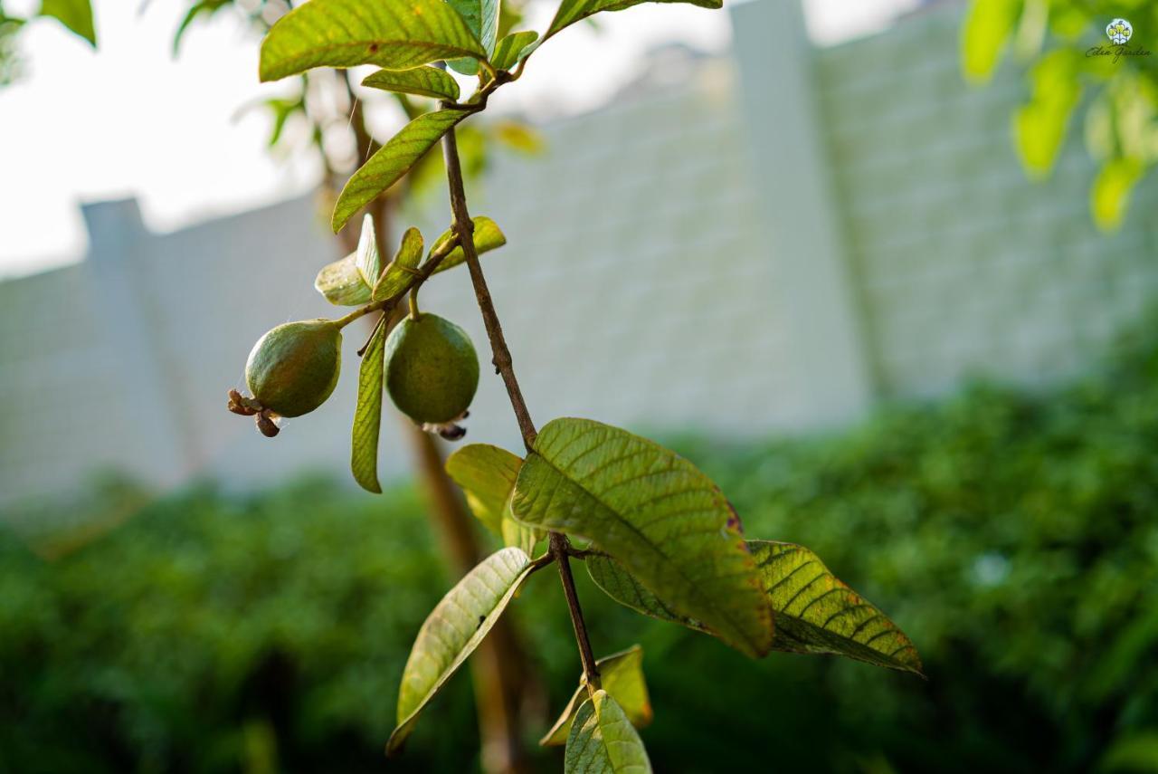 فيلا Eden Garden آليباغ المظهر الخارجي الصورة